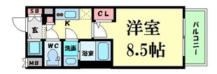 エスライズ北堀江　の物件間取画像